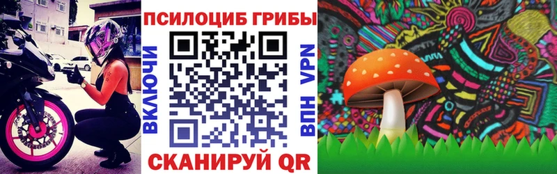 Галлюциногенные грибы MAGIC MUSHROOMS  Купить где  Михайловка 
